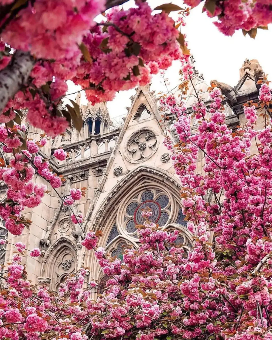 Paris walking tour Center Vadim Hedonist tour images00008